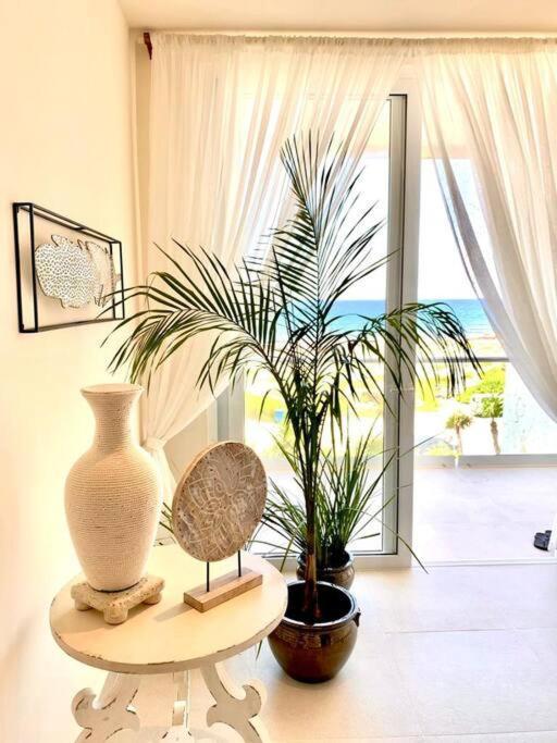 Casa Blanca By The Caribbean Sea Apartment Akumal Ngoại thất bức ảnh